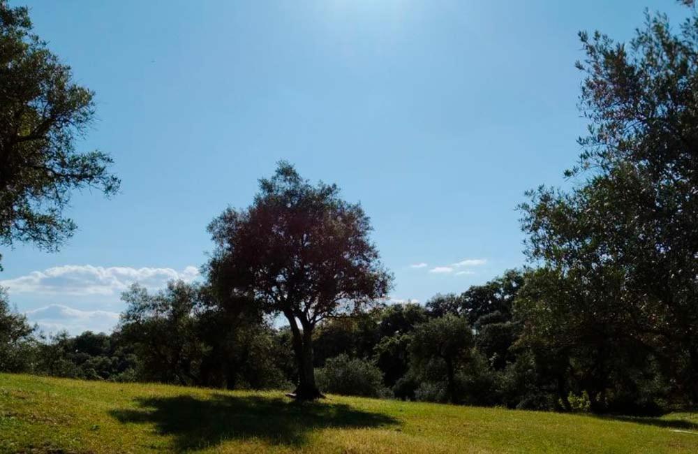 Cortijo Rural Flor De Cazalla Cazalla de la Sierra Kültér fotó