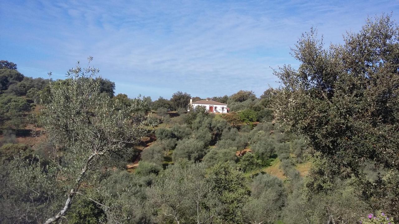 Cortijo Rural Flor De Cazalla Cazalla de la Sierra Kültér fotó